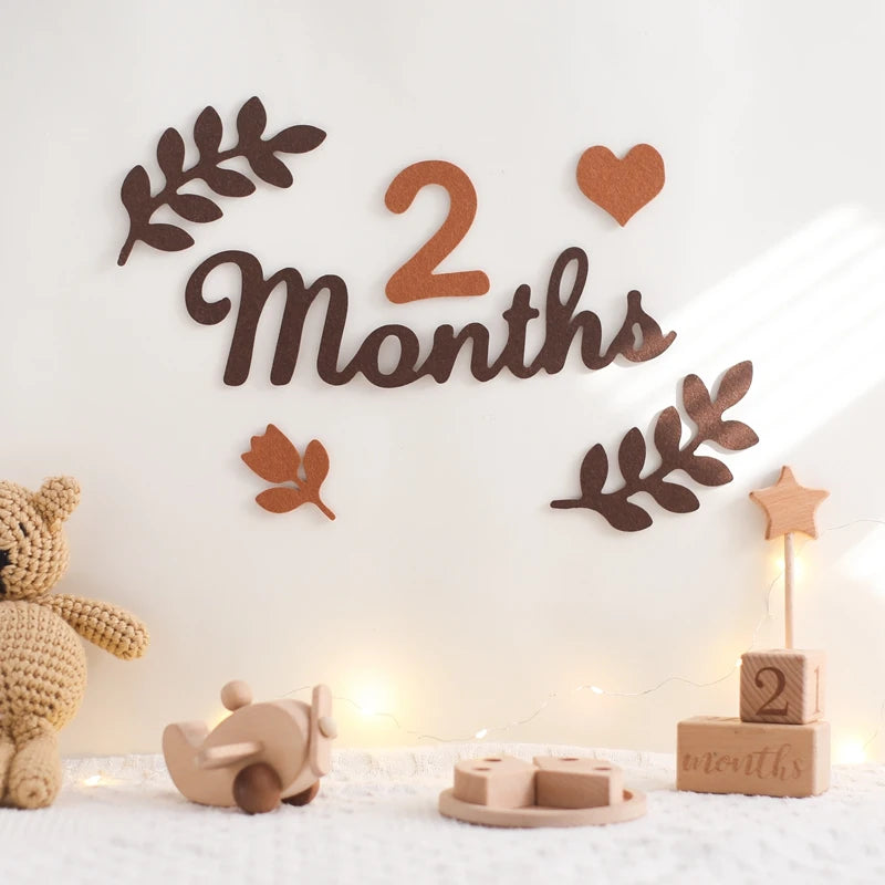 Decorate Milestone Accessories Newborn