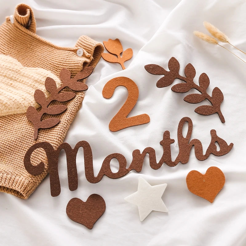 Decorate Milestone Accessories Newborn