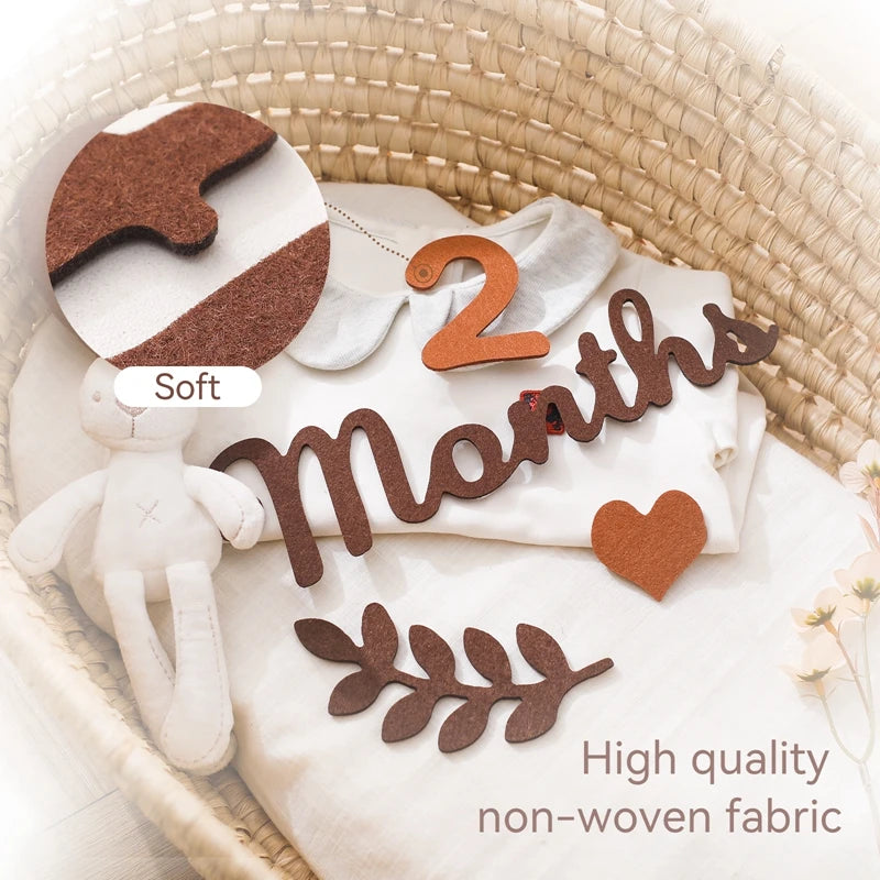 Decorate Milestone Accessories Newborn